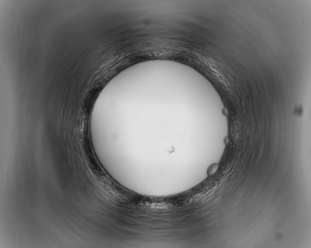 X0000101100645200806261045