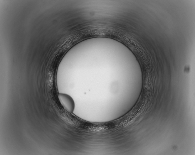 X0000101100646200806261045