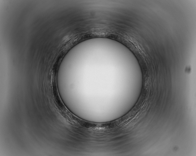 X0000101100647200806261045