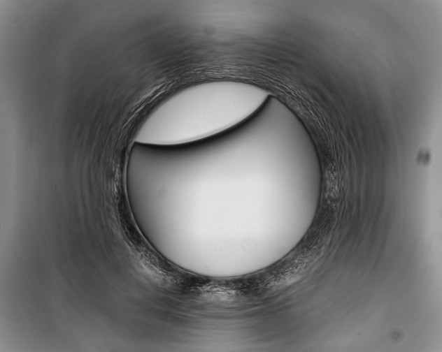 X0000101100648200806261045