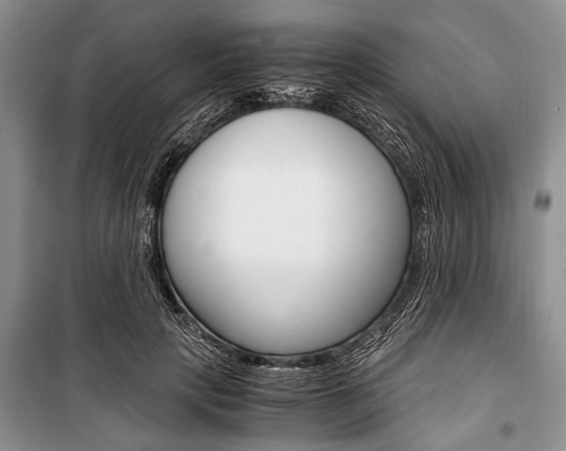 X0000101100649200806261045