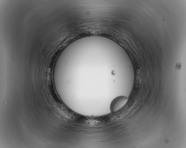 X0000101100650200806261045