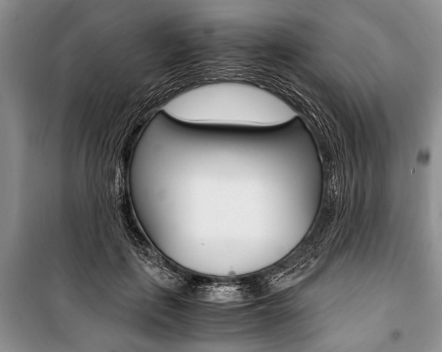 X0000101100651200806261045