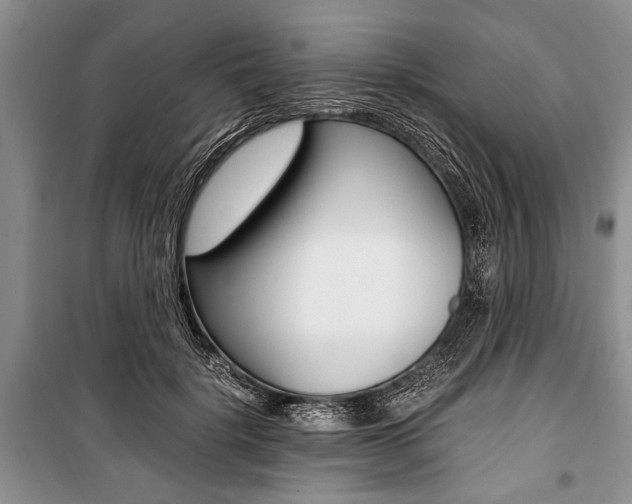 X0000101100652200806261045