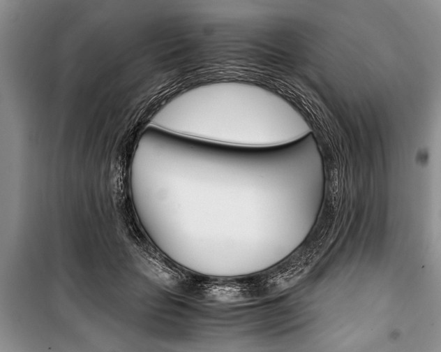 X0000101100653200806261045