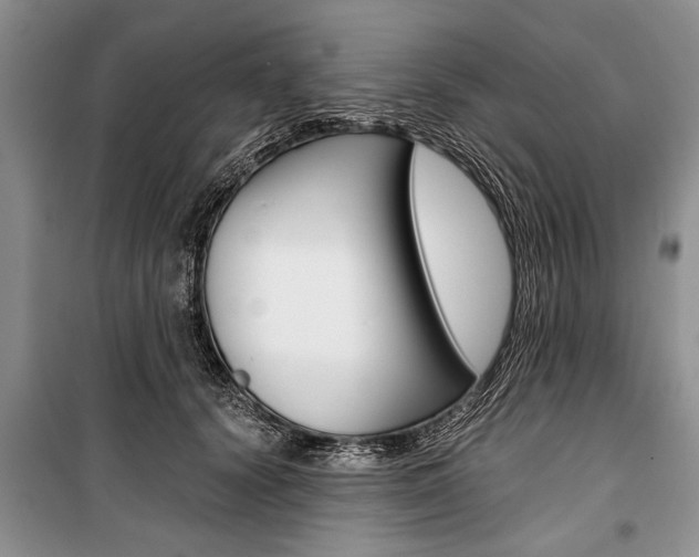 X0000101100656200806261046