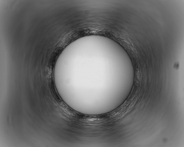X0000101100657200806261046
