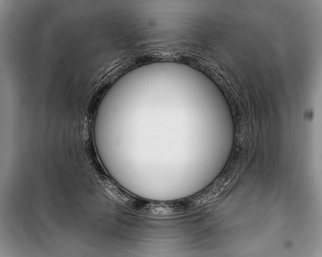 X0000101100658200806261046