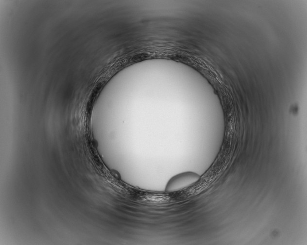 X0000101100659200806261046