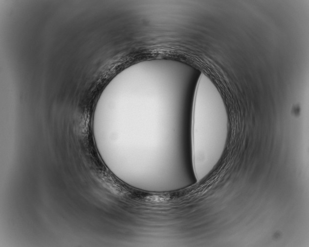 X0000101100660200806261046