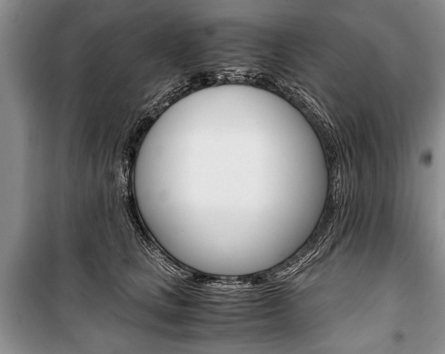 X0000101100661200806261046