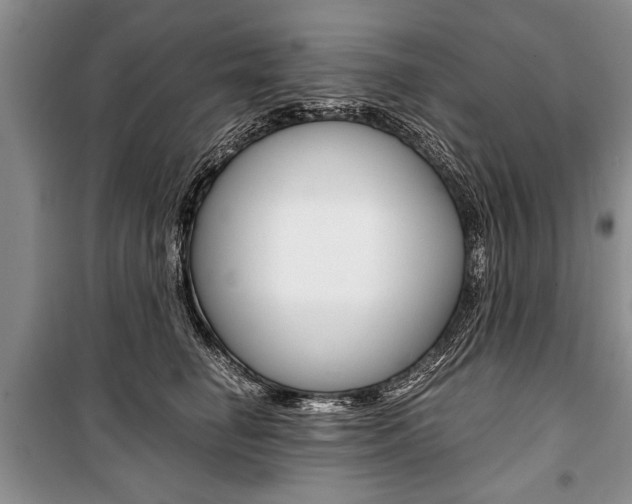 X0000101100662200806261046