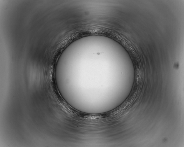 X0000101100664200806261046
