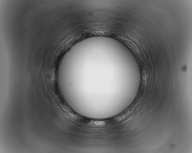 X0000101100665200806261046