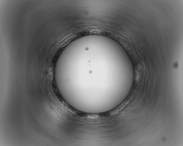 X0000101100666200806261046