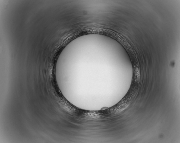 X0000101100668200806261046