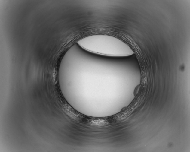X0000101100669200806261046