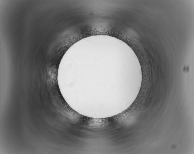 X0000101100672200806261046