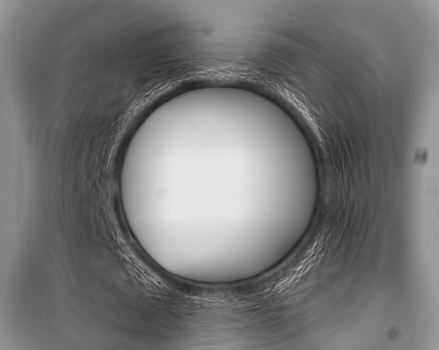 X0000101100673200806261045
