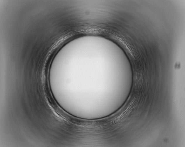X0000101100674200806261045