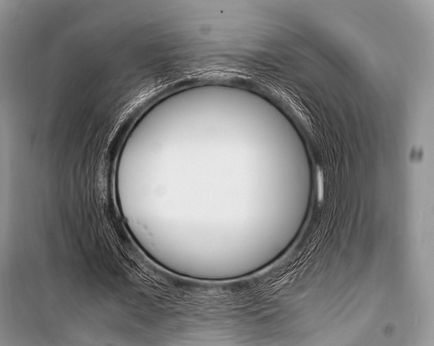 X0000101100675200806261045