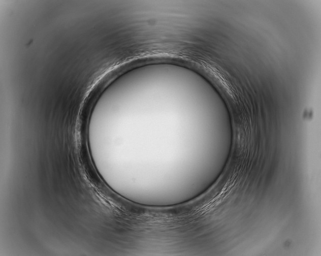 X0000101100676200806261045