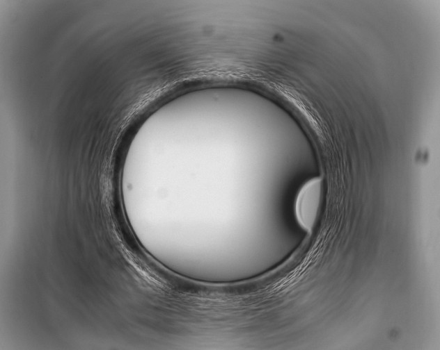 X0000101100677200806261045
