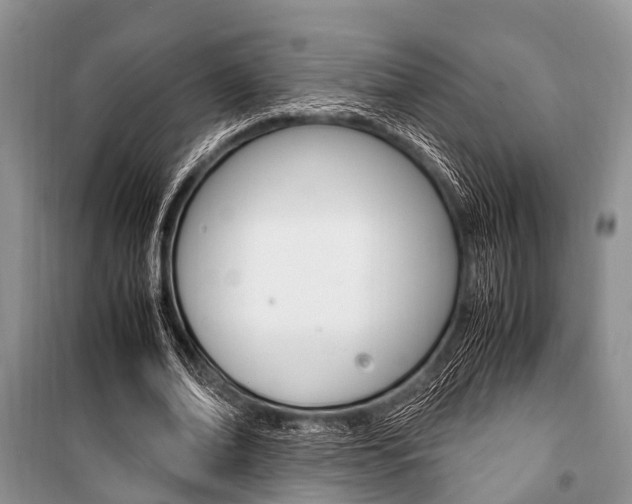 X0000101100678200806261045