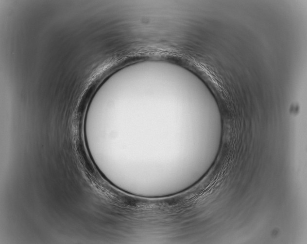 X0000101100679200806261045
