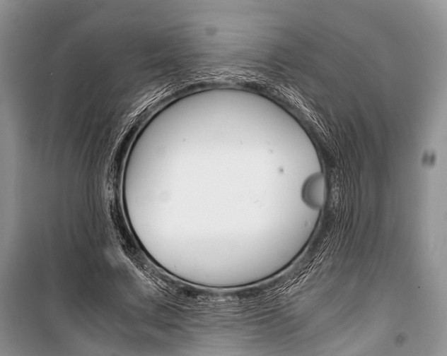 X0000101100683200806261045