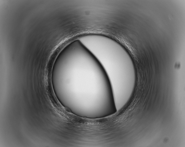 X0000101100684200806261045