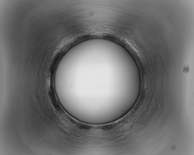 X0000101100685200806261045