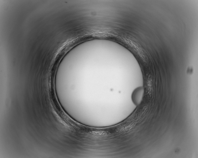 X0000101100686200806261045