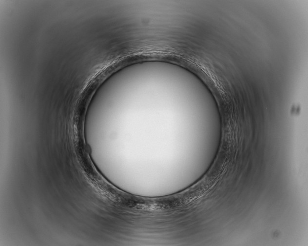 X0000101100688200806261045