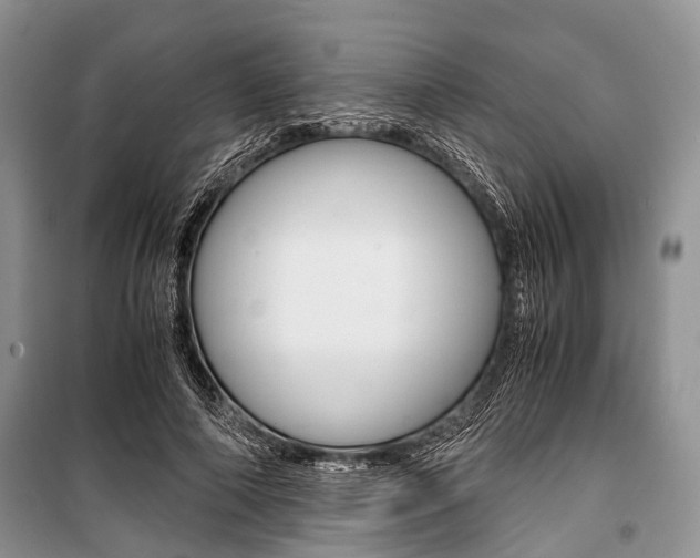 X0000101100690200806261045