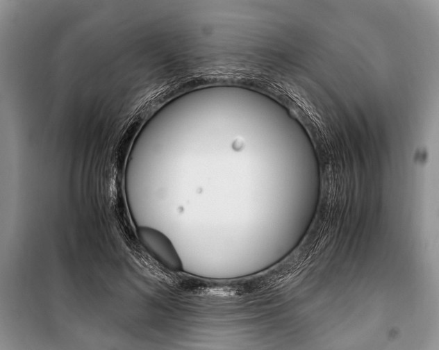 X0000101100692200806261045