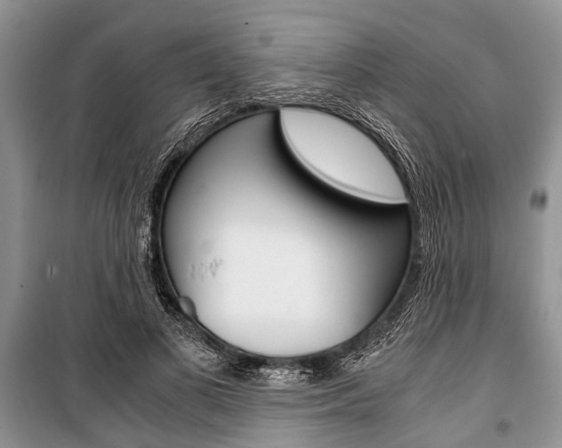 X0000101100693200806261045