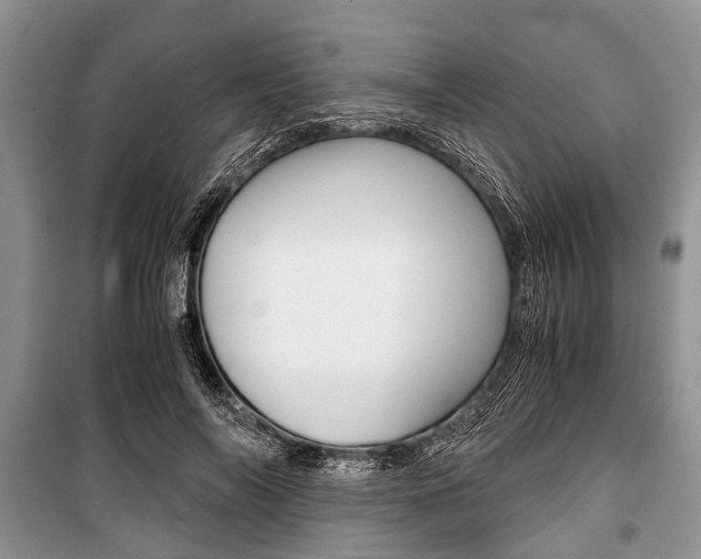 X0000101100694200806261045