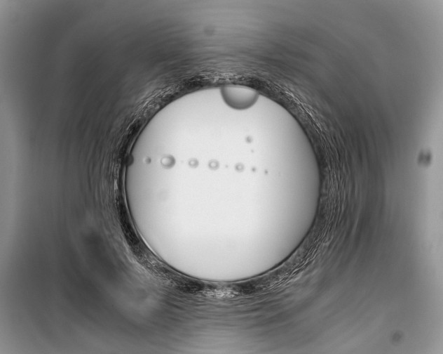 X0000101100695200806261045