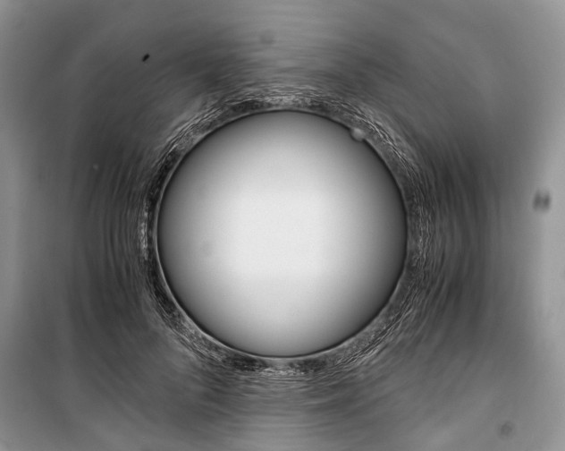 X0000101100696200806261045