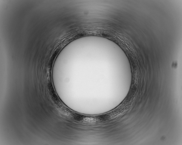 X0000101100699200806261045