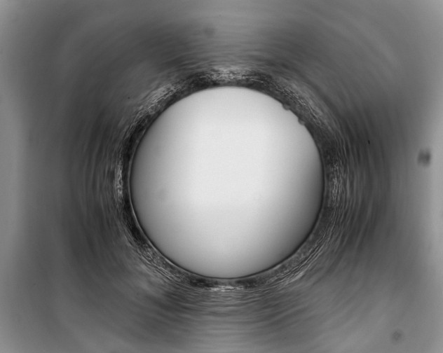 X0000101100700200806261045