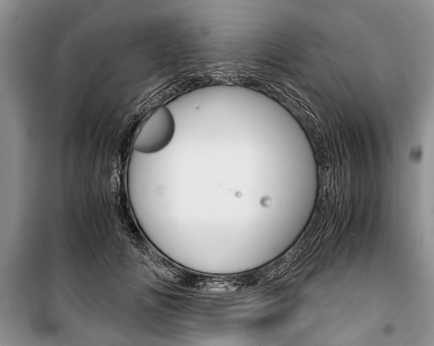 X0000101100702200806261045
