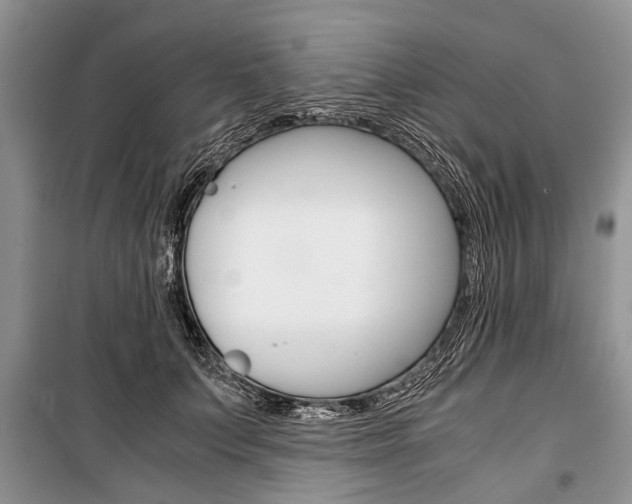 X0000101100703200806261045