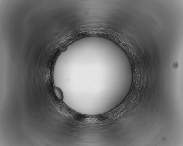 X0000101100704200806261045