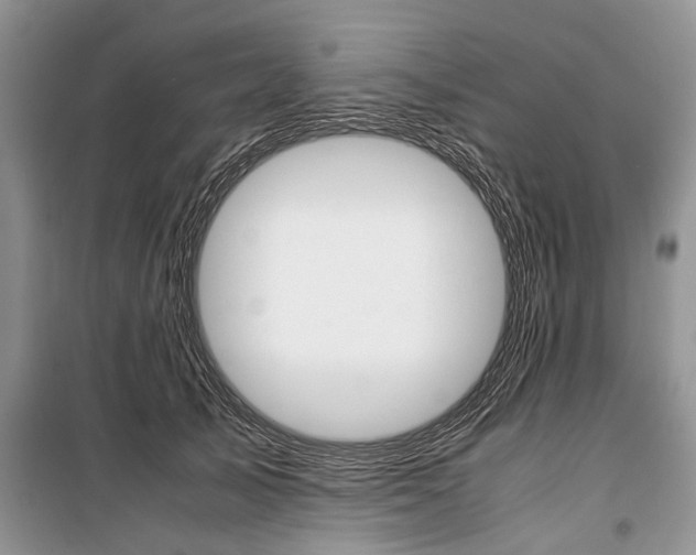 X0000101100705200806261045