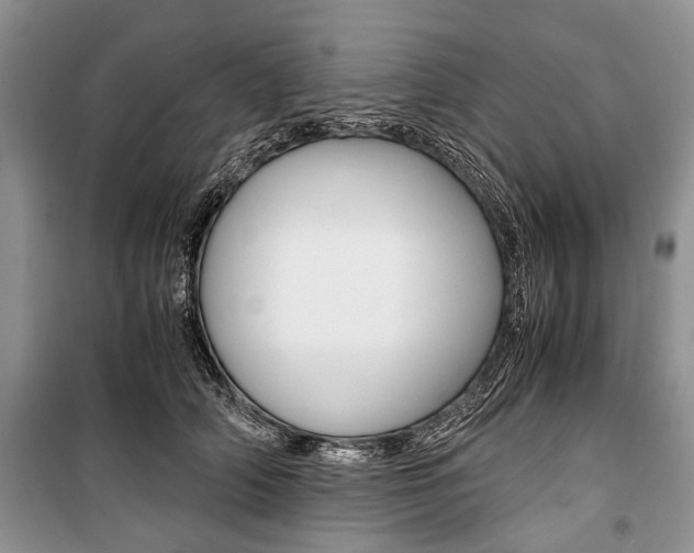 X0000101100706200806261045