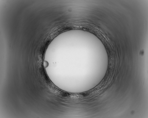 X0000101100707200806261045
