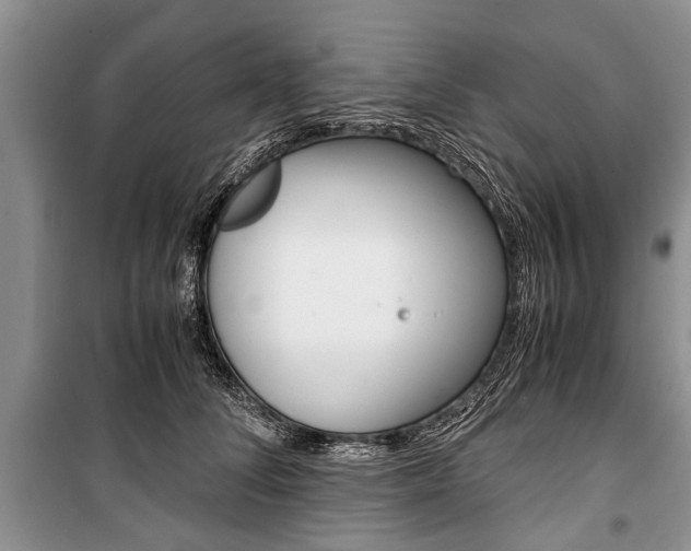 X0000101100708200806261045