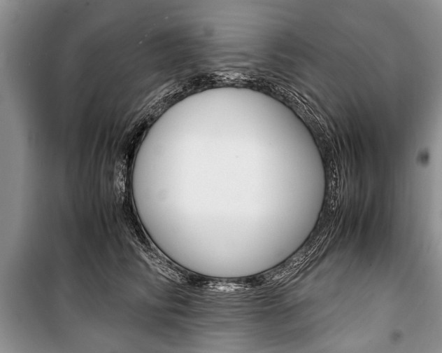 X0000101100710200806261045